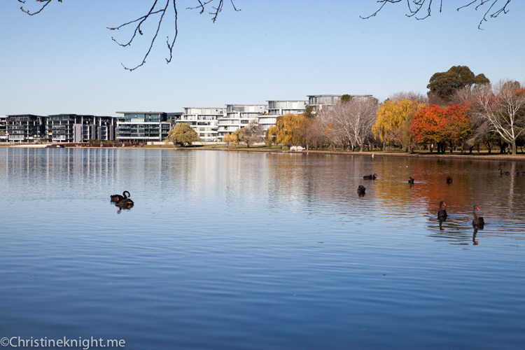 Lake Burley Griffin #Canberra via christineknight.me