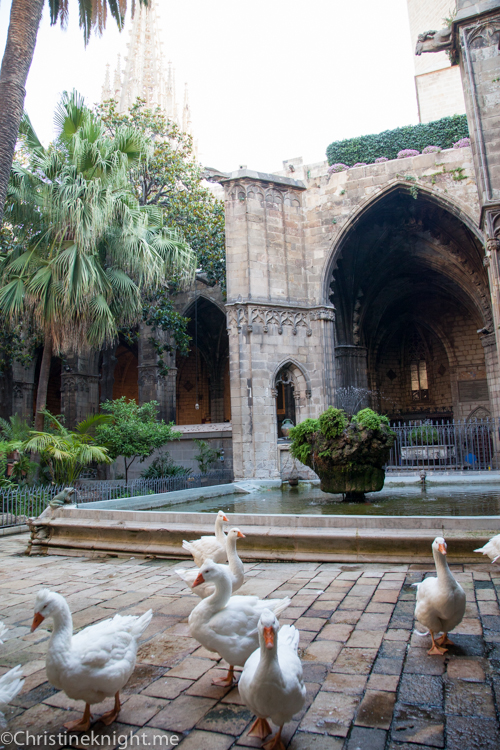 Barcelona Cathedral via christineknight.me