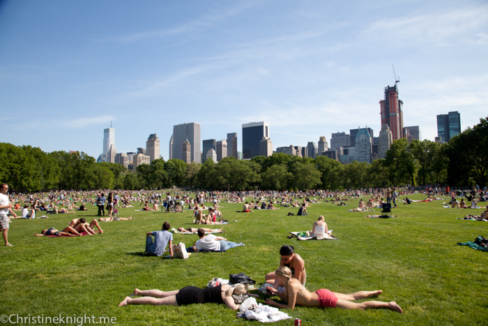 Central Park for Families via christineknight.me