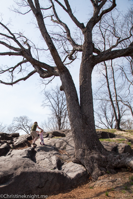 Central Park for Families via christineknight.me