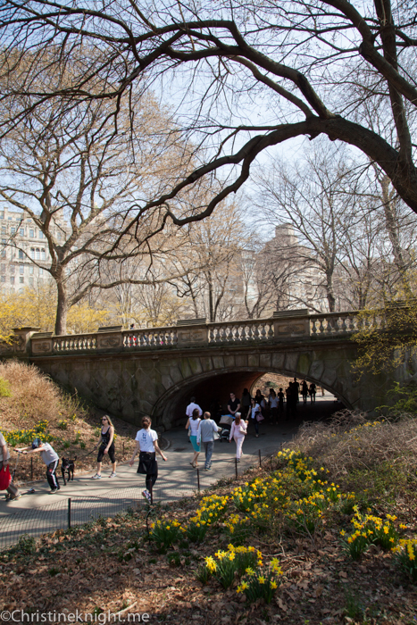Central Park for Families via christineknight.me