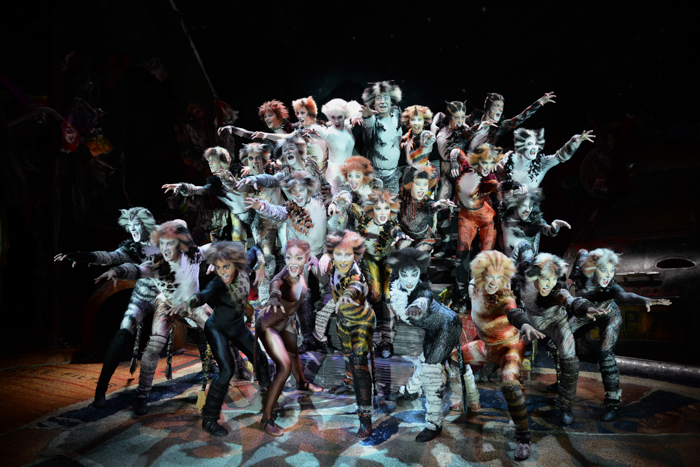 Cats The Musical Sydney via christineknight.me