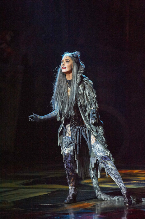 Cats The Musical Sydney via christineknight.me