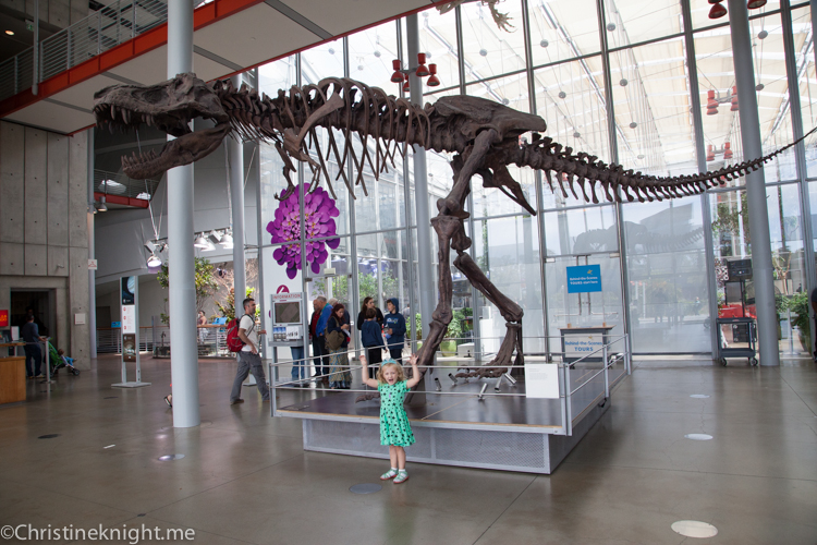 California Academy of Science, San Francisco