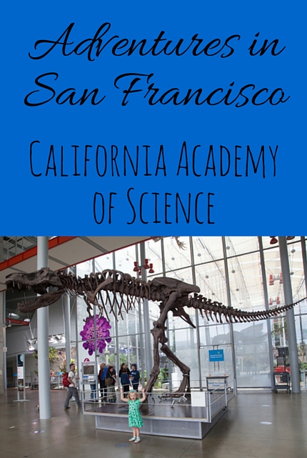California Academy of Science via christineknight.me