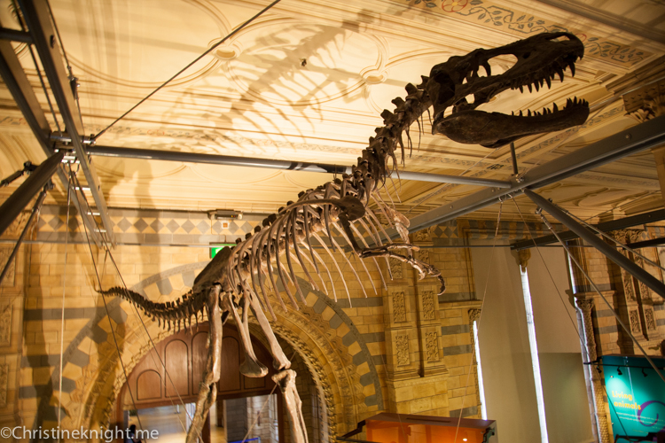 Museum of Natural History London via christineknight.me