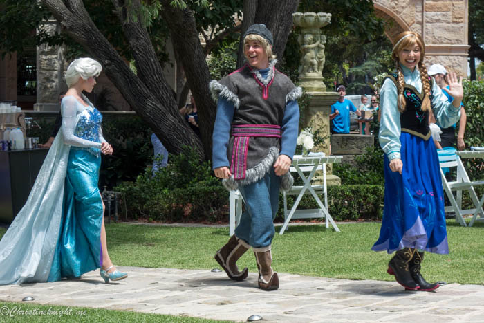 Disney Frozen Garden Party via christineknight.me