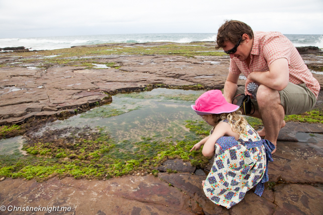 Austinmer Beach: NSW's best beaches for families via christineknight.me