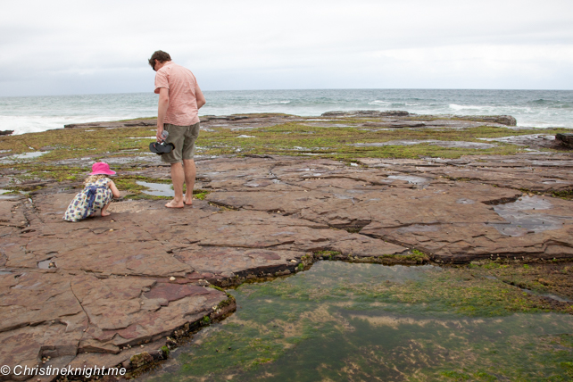 Austinmer Beach: NSW's best beaches for families via christineknight.me