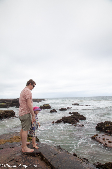 Austinmer Beach: NSW's best beaches for families via christineknight.me