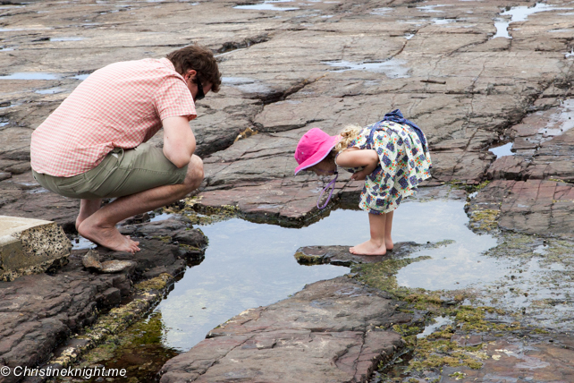 Austinmer Beach: NSW's best beaches for families via christineknight.me