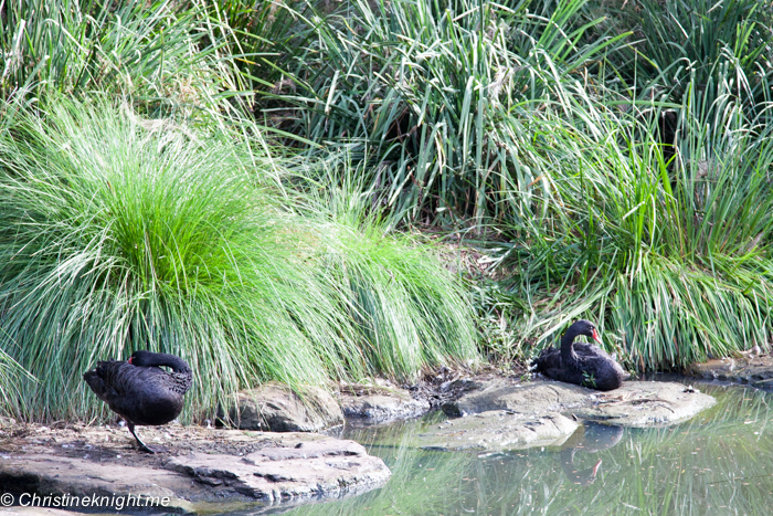 Central Gardens, Merrylands: The best of southwest Sydney for families via christineknight.me