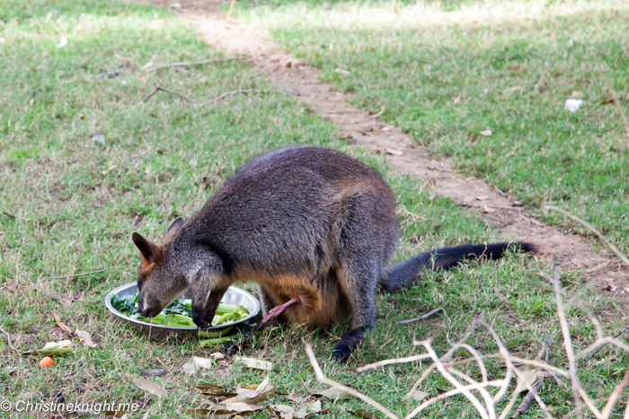 Central Gardens, Merrylands: The best of southwest Sydney for families via christineknight.me