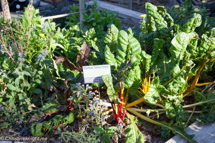 Ian Potter Foundation Children's Garden Melbourne via christineknight.me