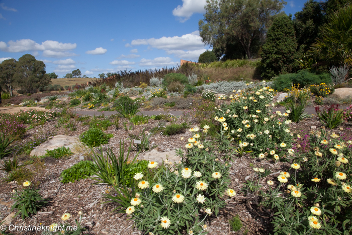 The Australian Botanic Gardens, Mount Annan via christineknight.me