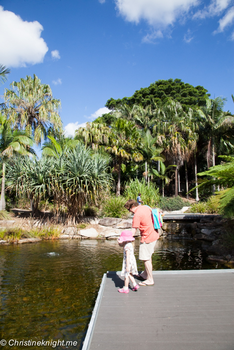 The Australian Botanic Gardens, Mount Annan via christineknight.me