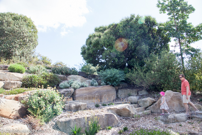 The Australian Botanic Gardens, Mount Annan via christineknight.me