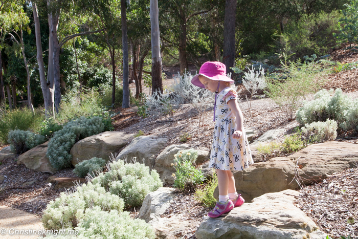 The Australian Botanic Gardens, Mount Annan via christineknight.me