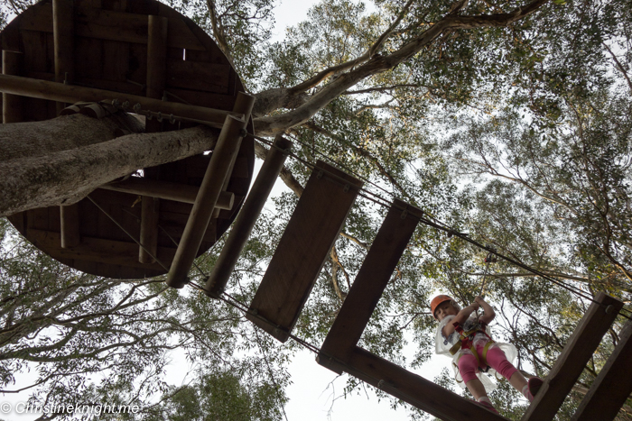 TreeTop Adventure Park Sydney via christineknight.me