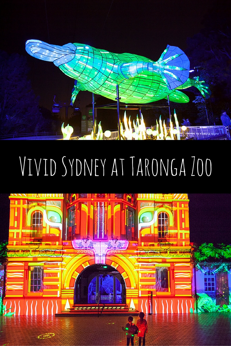 Vivid Sydney at Taronga Zoo via christineknight.me