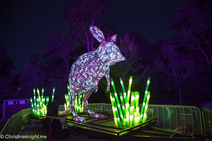 Vivid Sydney at Taronga Zoo via christineknight.me