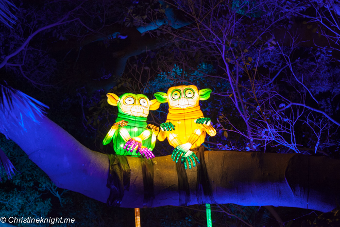 Vivid Sydney at Taronga Zoo via christineknight.me