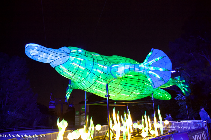 Vivid Sydney at Taronga Zoo via christineknight.me