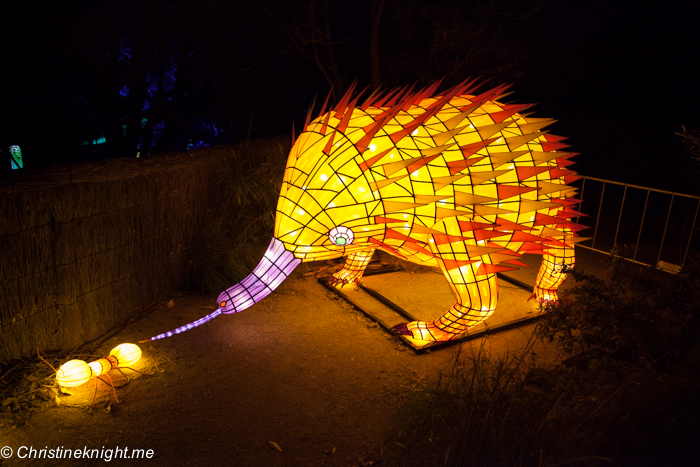 Vivid Sydney at Taronga Zoo via christineknight.me