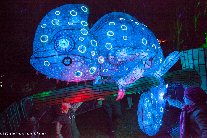 Vivid Sydney at Taronga Zoo via christineknight.me