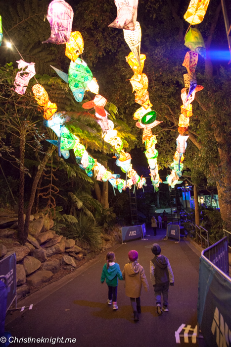 Vivid Sydney at Taronga Zoo via christineknight.me