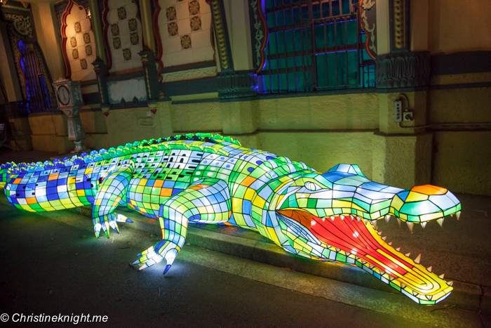 Vivid Sydney at Taronga Zoo via christineknight.me