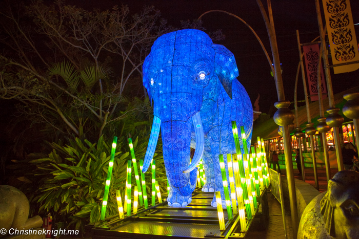 Vivid Sydney at Taronga Zoo via christineknight.me