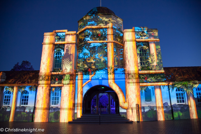 Vivid Sydney at Taronga Zoo via christineknight.me