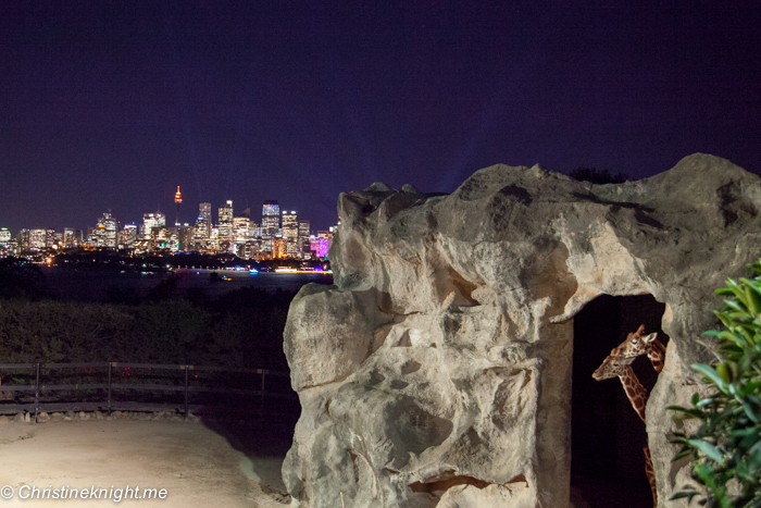 Vivid Sydney at Taronga Zoo via christineknight.me