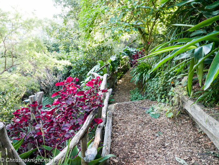 Wendy's Secret Garden, Sydney via christineknight.me