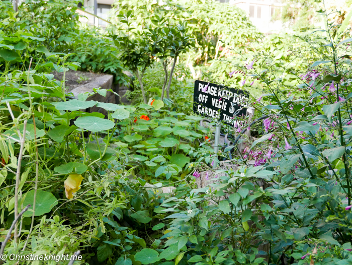 Wendy's Secret Garden, Sydney via christineknight.me