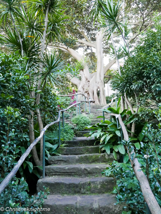 Wendy's Secret Garden, Sydney via christineknight.me