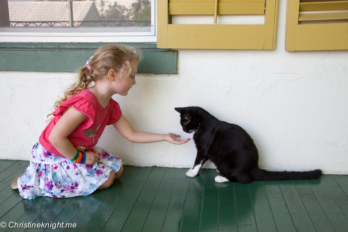 Hemingway's House, Key West, Florida Keys, via christineknight.me