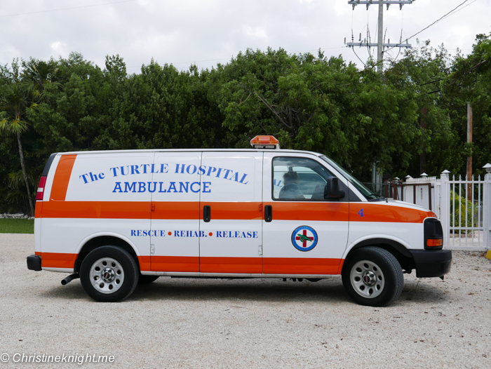 Marathon Turtle Hospital, Florida Keys, via christineknight.me