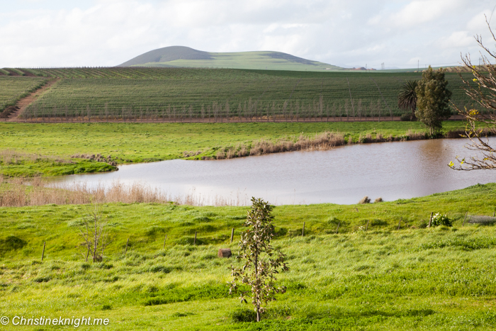 Cape Town For Wine Lovers via christineknight.me