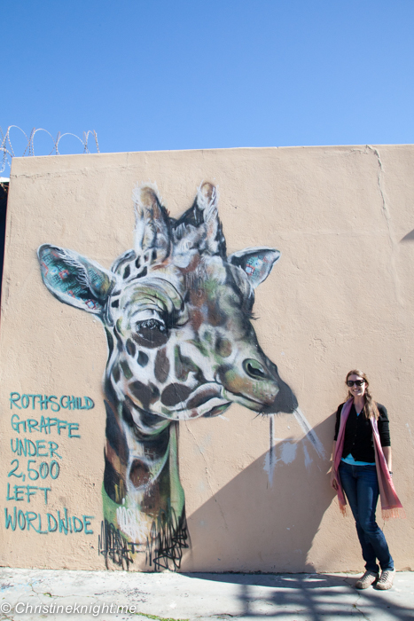 Woodstock Street Art Walking Tour, Cape Town via christineknight.me