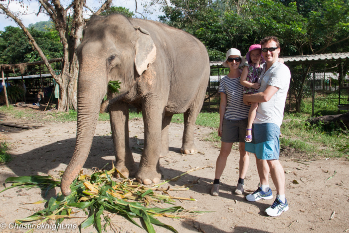 Elephant Nature Park, Chiang Mai, Thailand