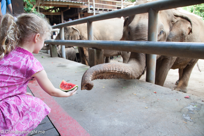 Elephant Nature Park, Chiang Mai, Thailand