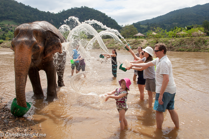 Elephant Nature Park, Chiang Mai, Thailand