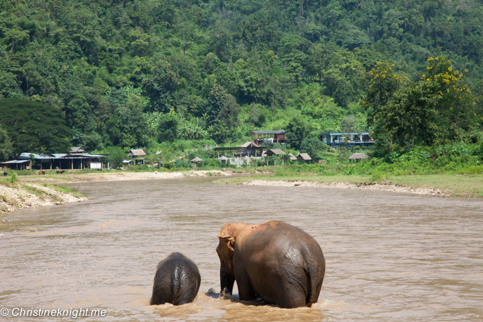 Elephant Nature Park, Chiang Mai, Thailand