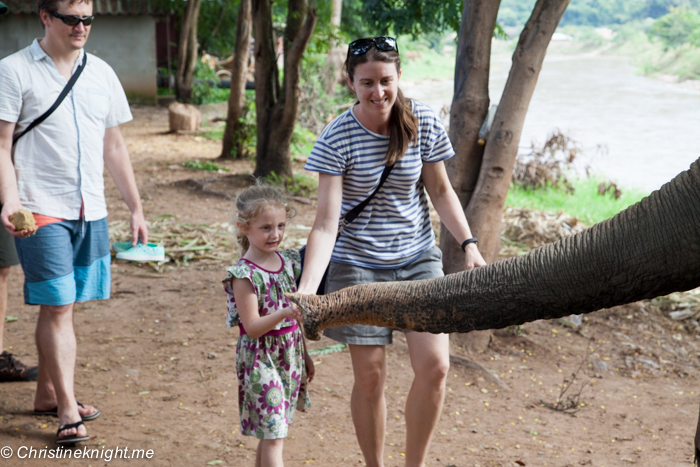 Elephant Nature Park, Chiang Mai, Thailand