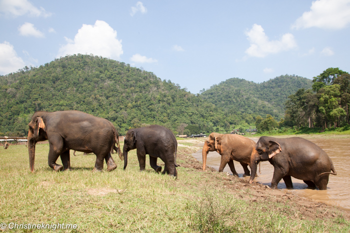 Elephant Nature Park, Chiang Mai, Thailand