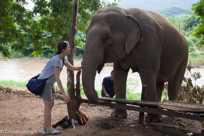 Elephant Nature Park, Chiang Mai, Thailand