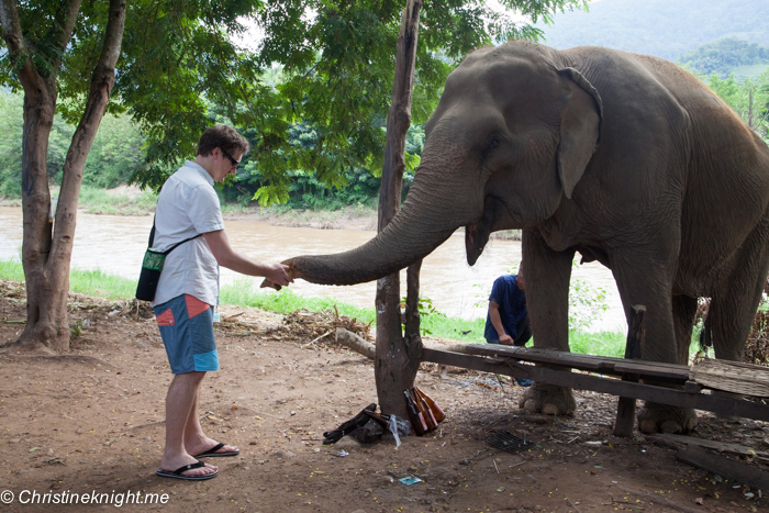 Elephant Nature Park, Chiang Mai, Thailand