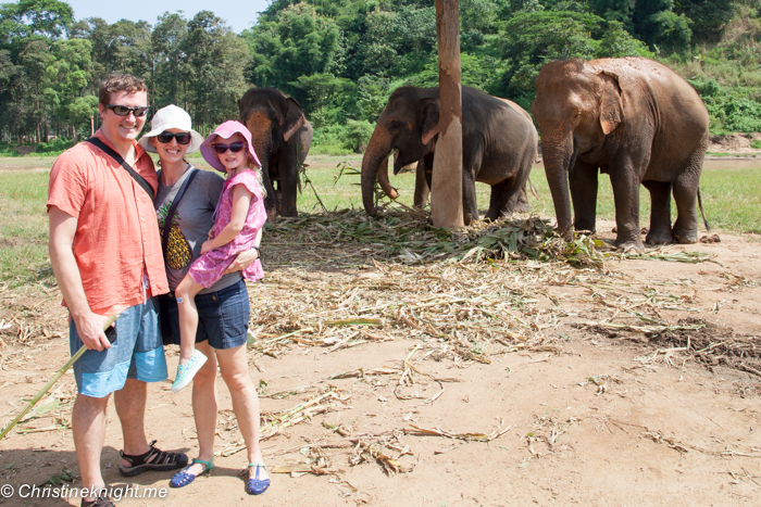 Elephant Nature Park, Chiang Mai, Thailand